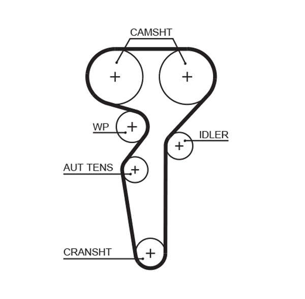 Timing Belt (T1679)