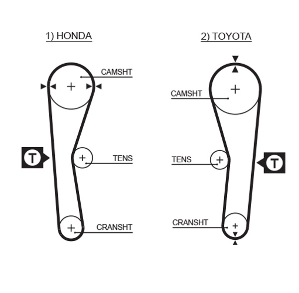 Timing Belt