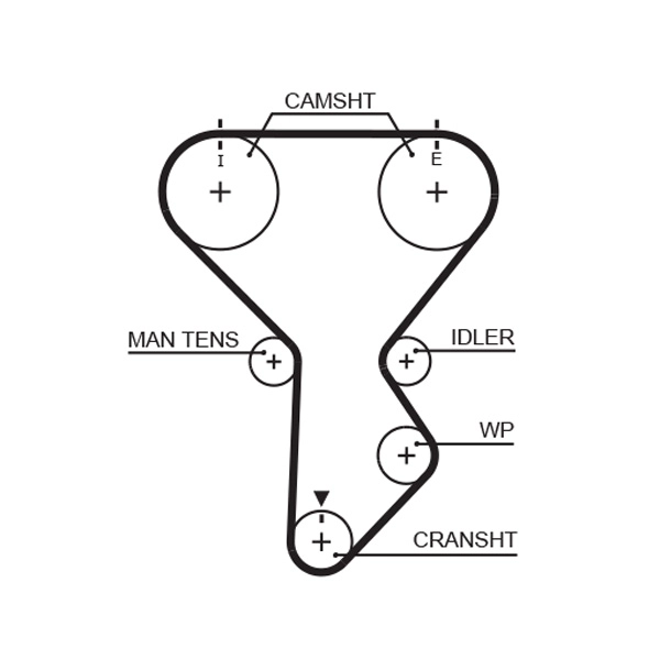 Timing Belt