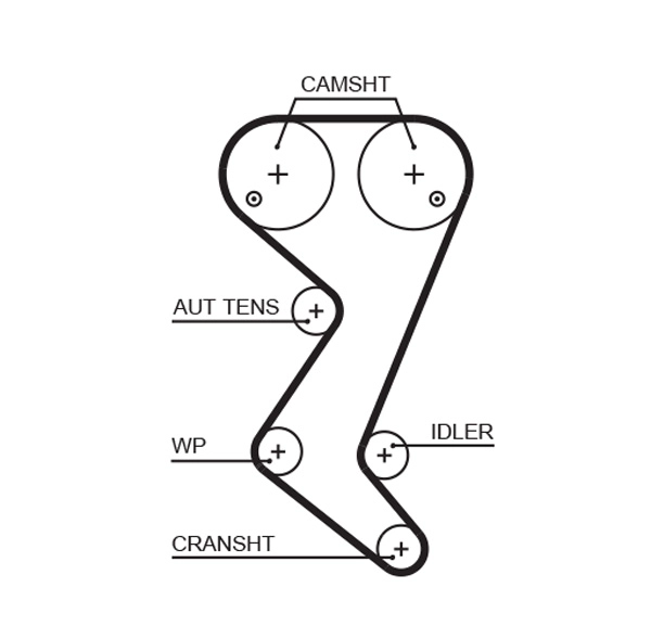 Timing Belt