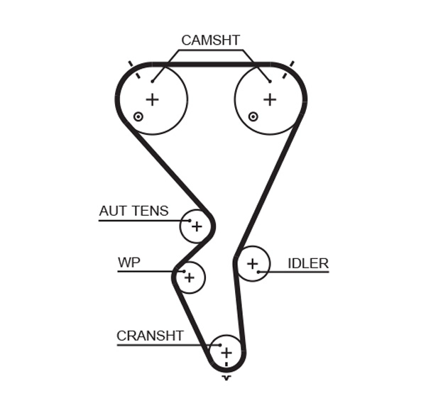 Timing Belt