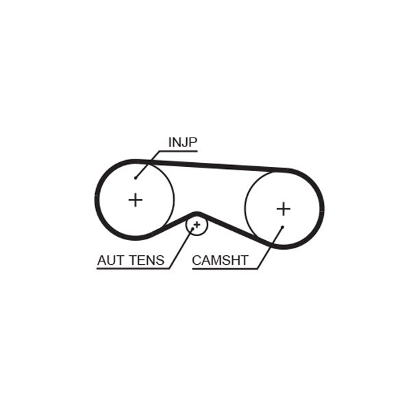 Timing Belt