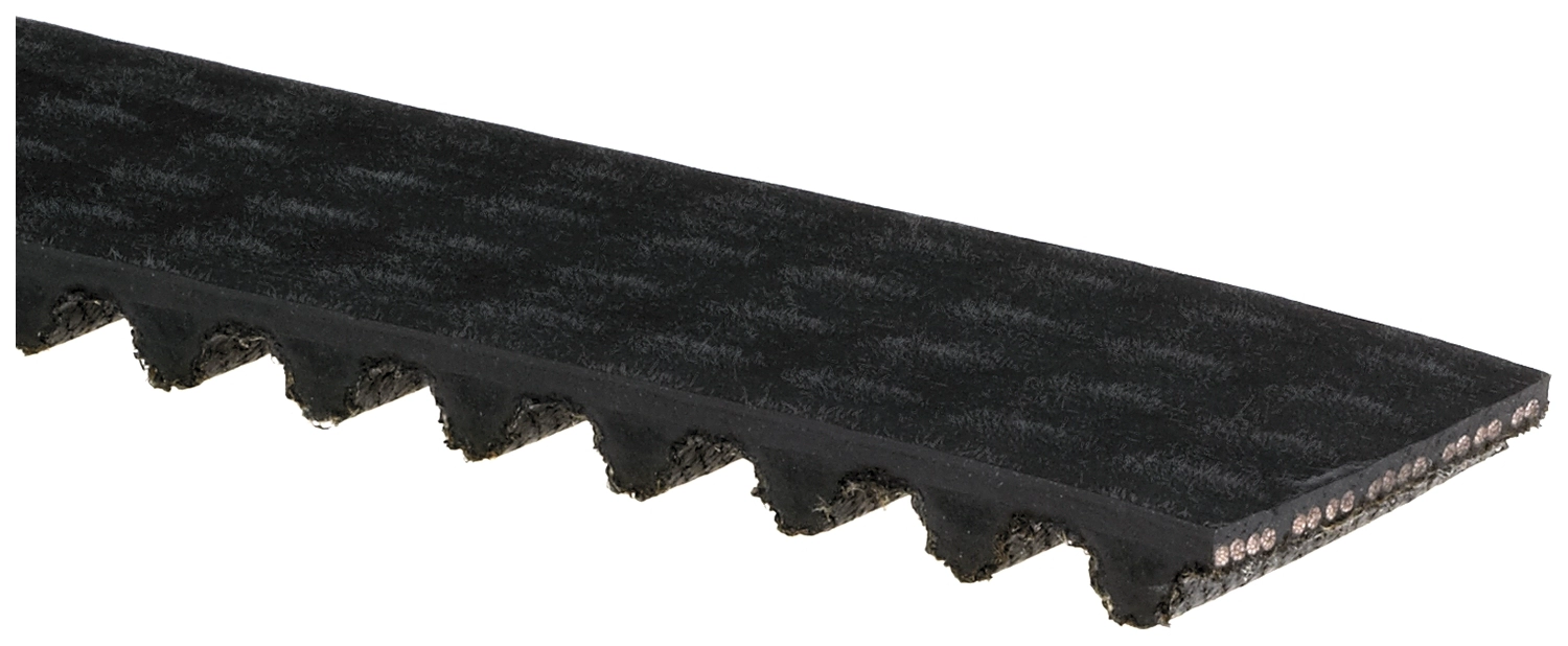 Timing Belt
