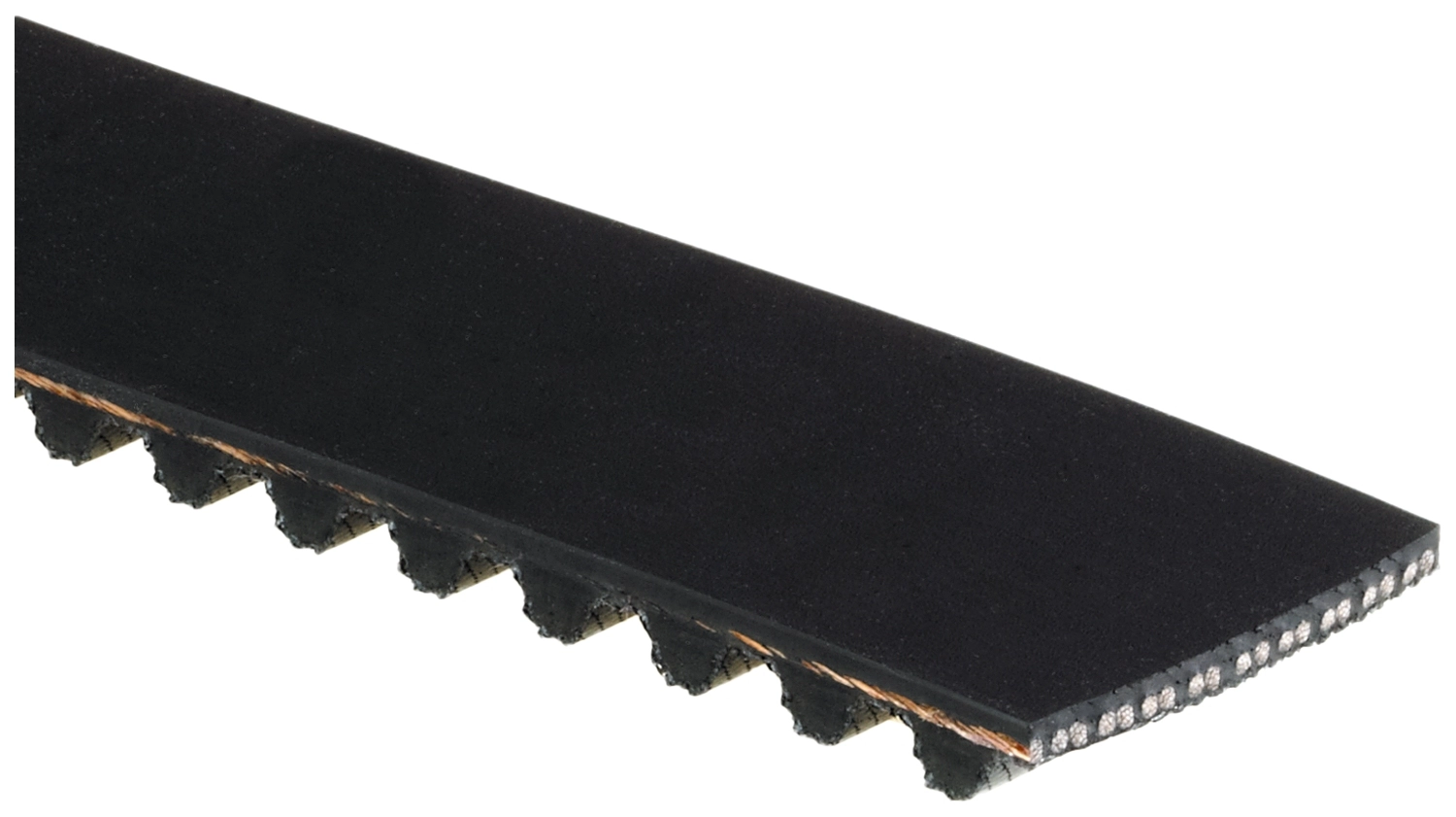 Timing Belt
