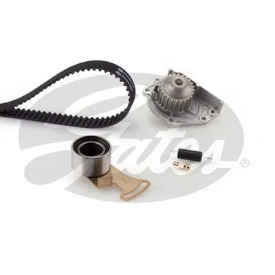Water Pump & Timing Belt Kit (TCKWP613)