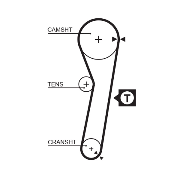Timing Belt