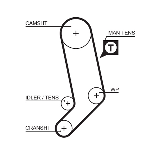 Timing Belt