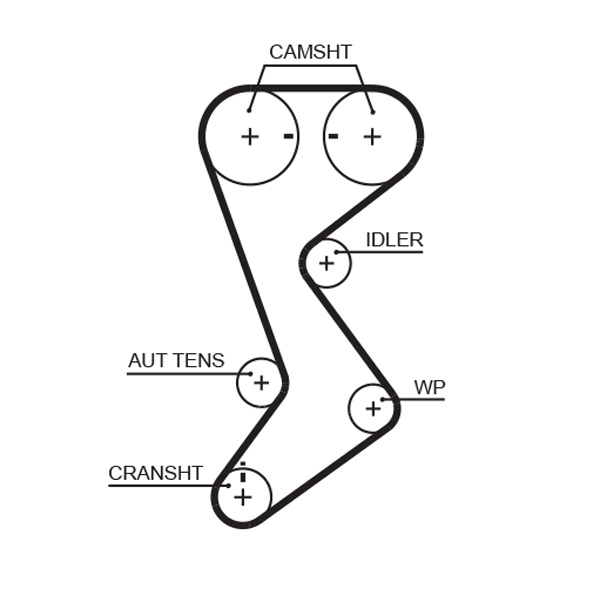 Timing Belt