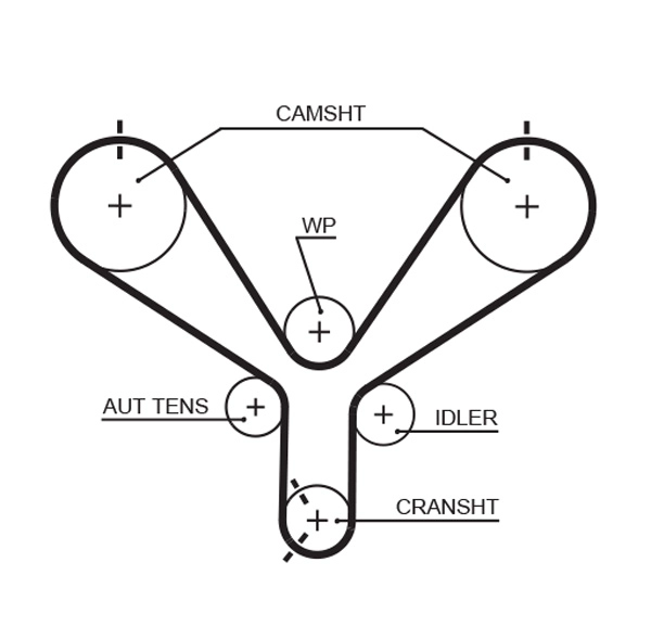 Timing Belt