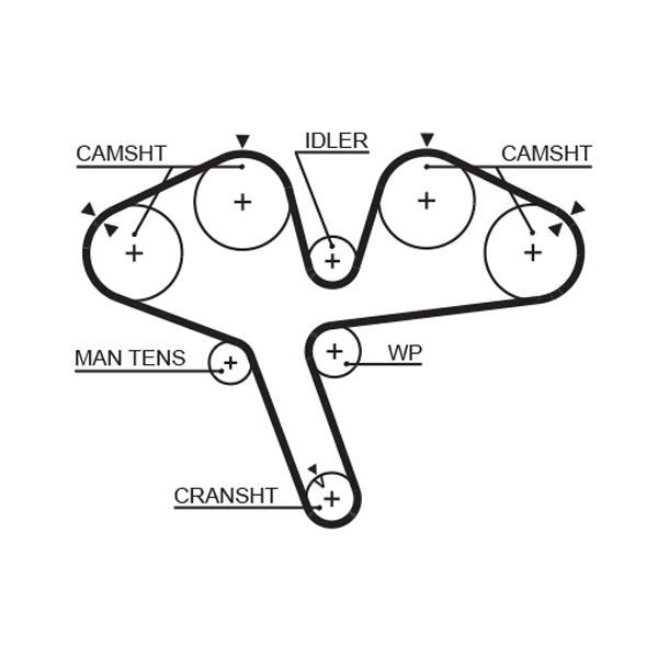 Timing Belt