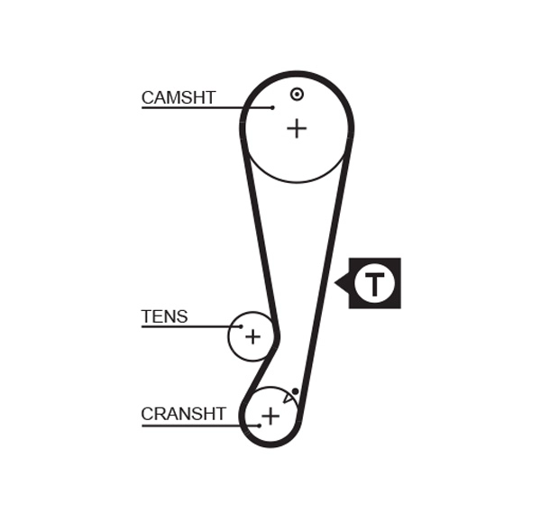 Timing Belt