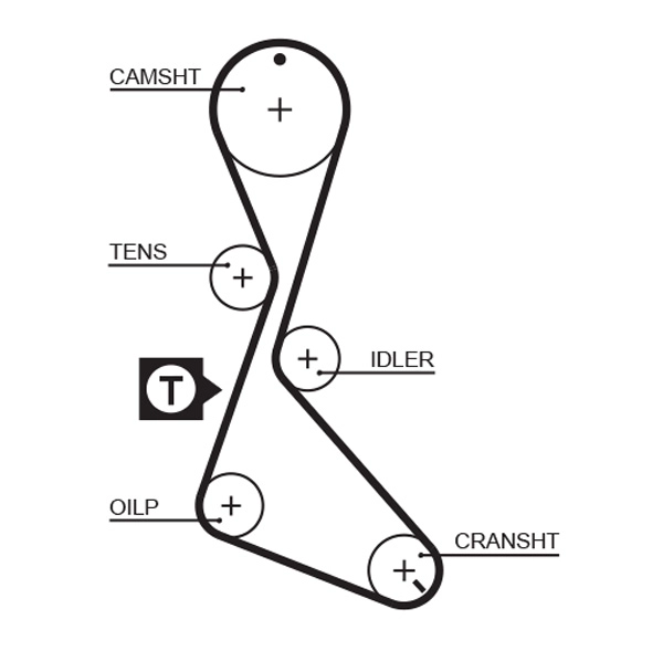 Timing Belt