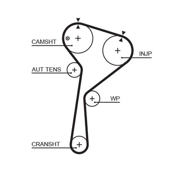 Timing Belt