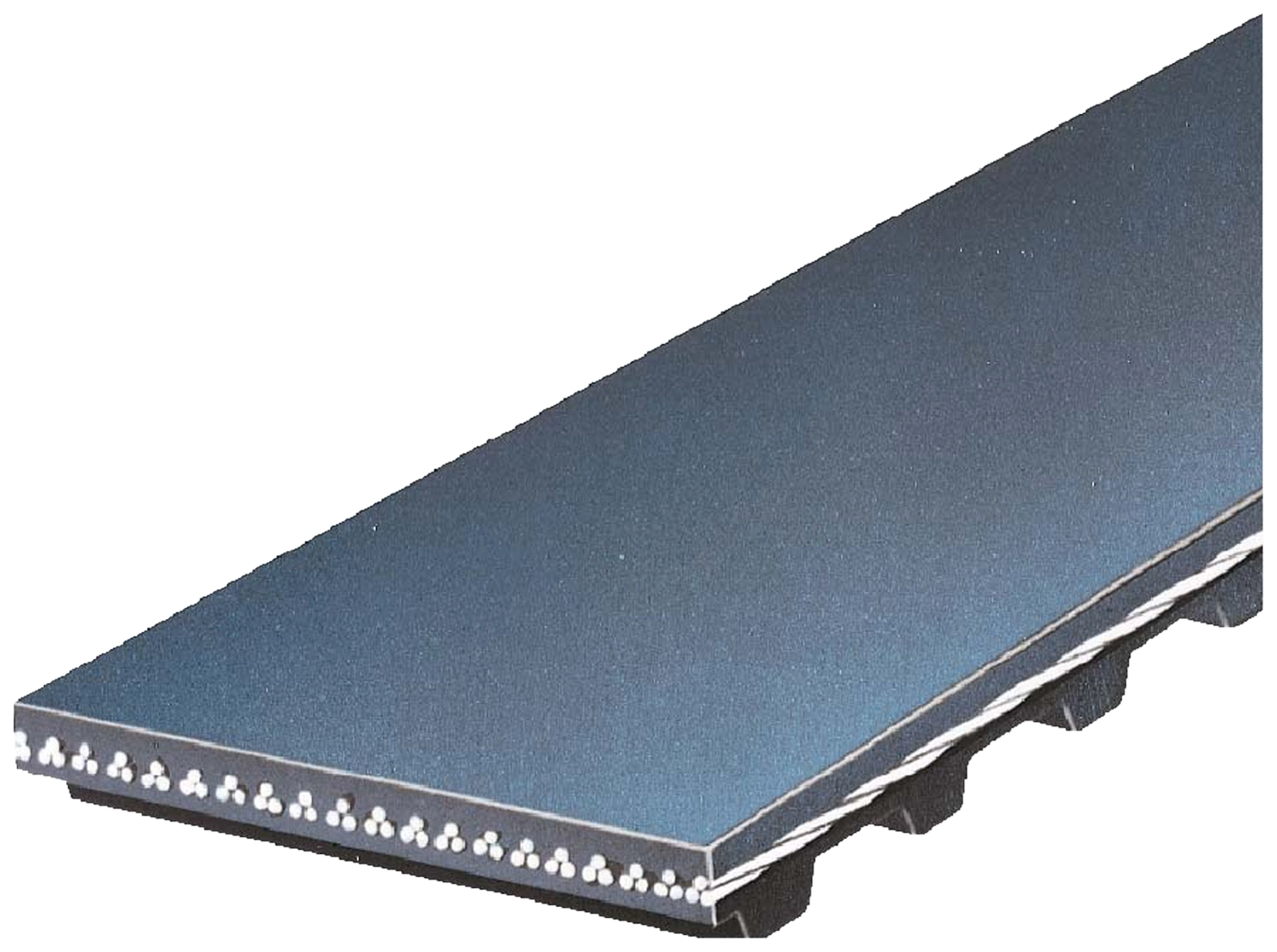 Timing Belt (T260)