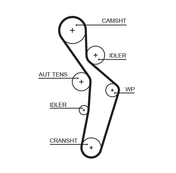 Timing Belt