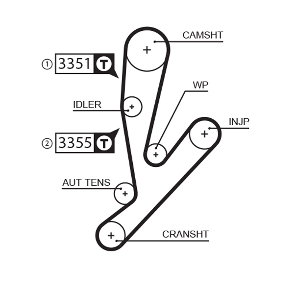 Timing Belt