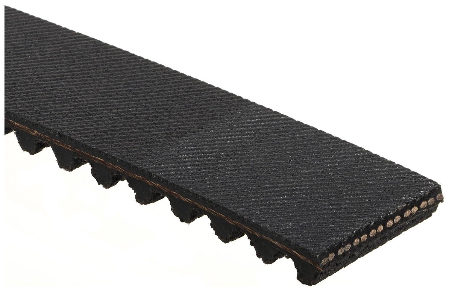 Timing Belt