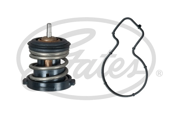 Thermostat, coolant (TH59787G1)