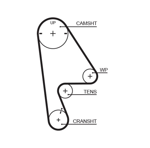 Timing Belt
