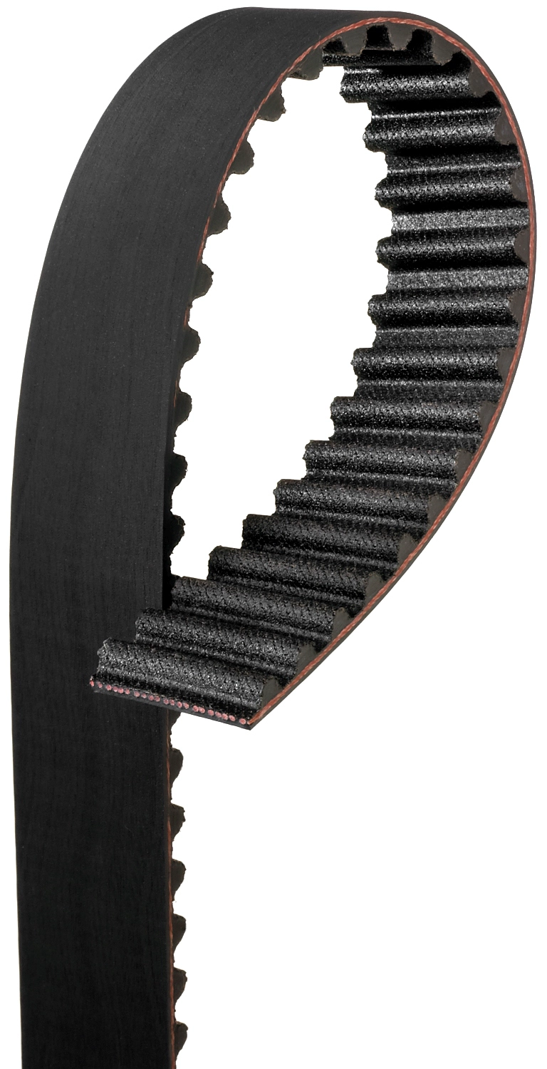 Timing Belt (T311)