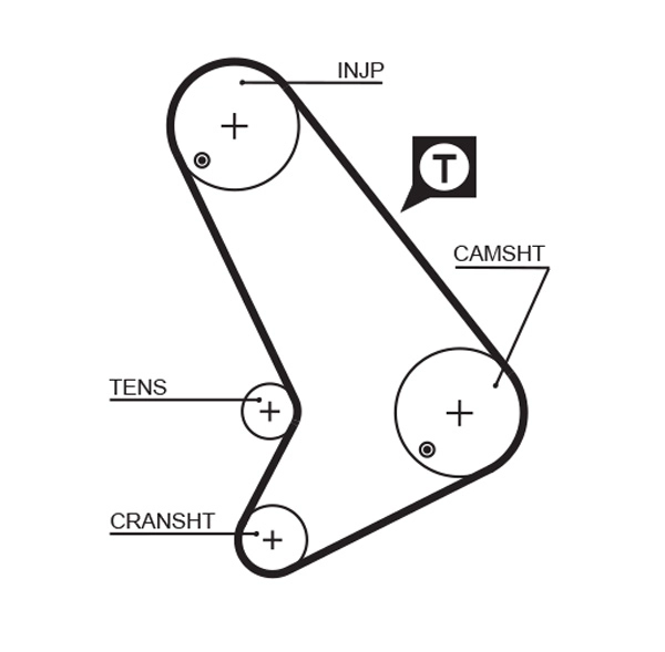 Timing Belt