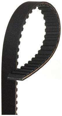 Timing Belt