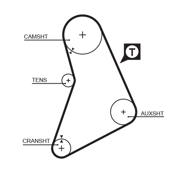Timing Belt