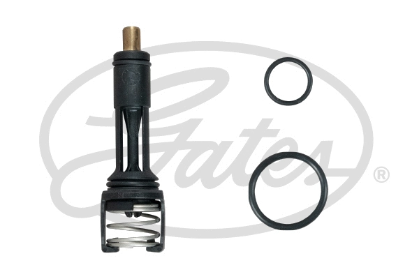 Thermostat, coolant (TH606113G1)
