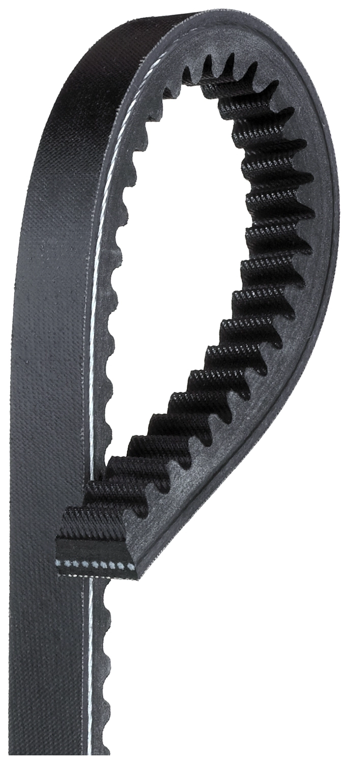 V-Belt (TR20412)