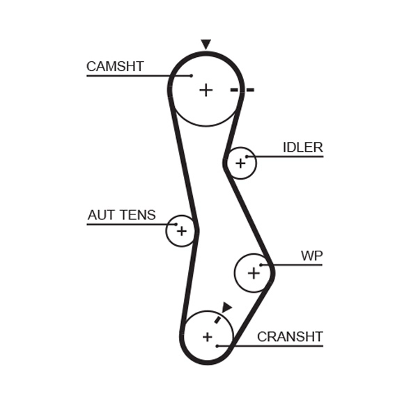 Timing Belt