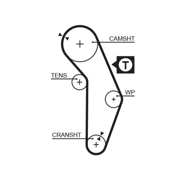 Timing Belt