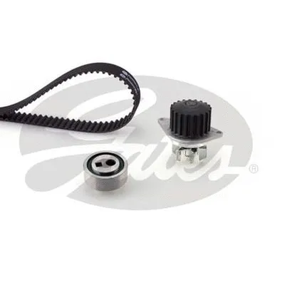 Water Pump & Timing Belt Kit (TCKWP901)