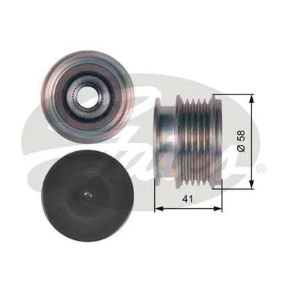 Alternator Freewheel Clutch (OAP7126)