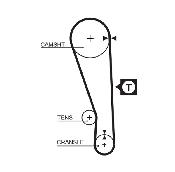 Timing Belt