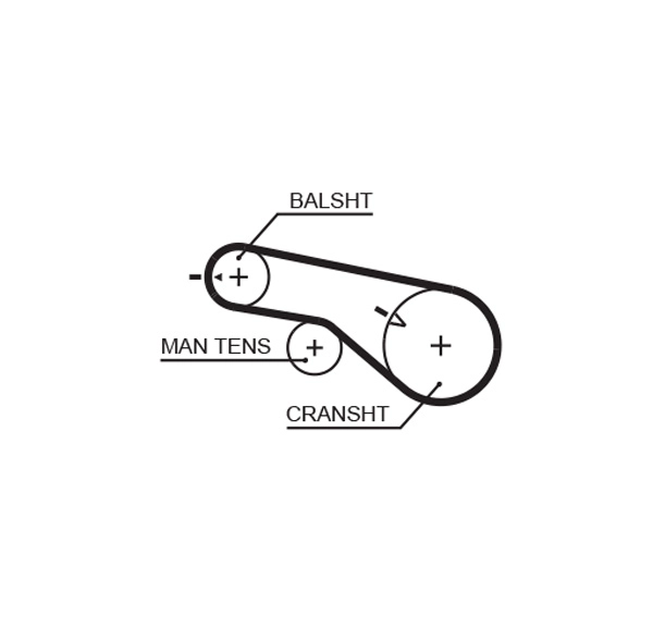 Timing Belt