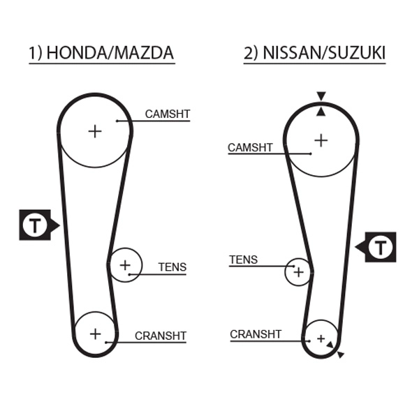 Timing Belt