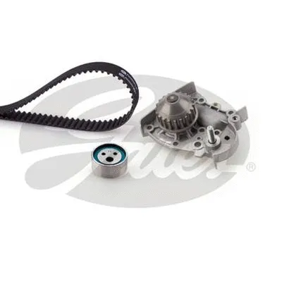 Water Pump & Timing Belt Kit (TCKWP917)