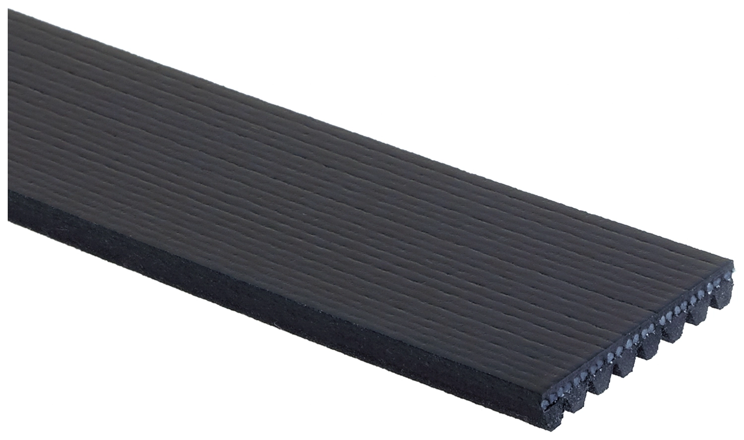V-Ribbed Belt