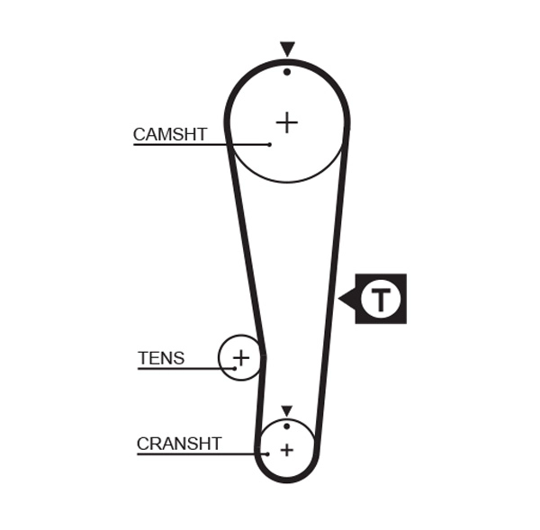 Timing Belt