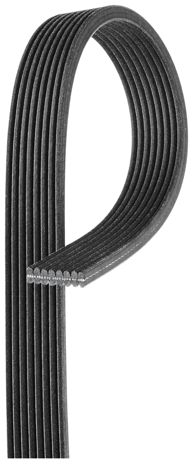V-Ribbed Belt (8DPK1445)