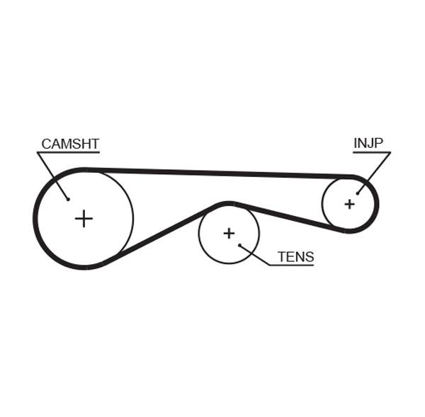 Timing Belt