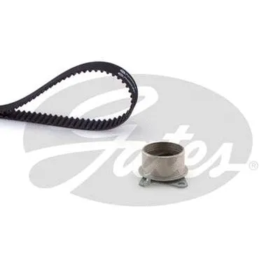 Timing Belt Kit (TCK289D)