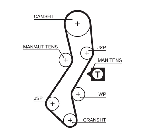 Timing Belt (5451XS)