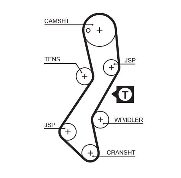 Timing Belt
