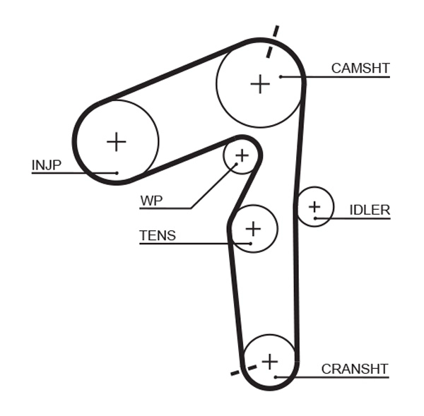 Timing Belt