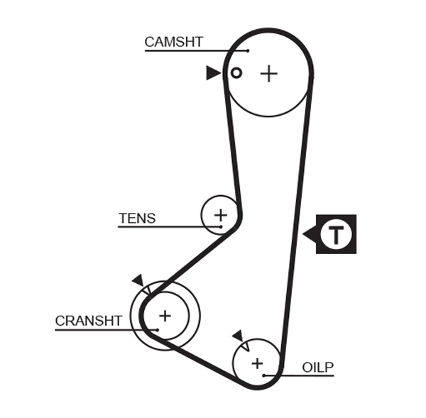 Timing Belt