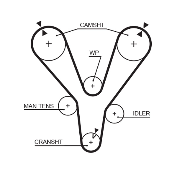 Timing Belt
