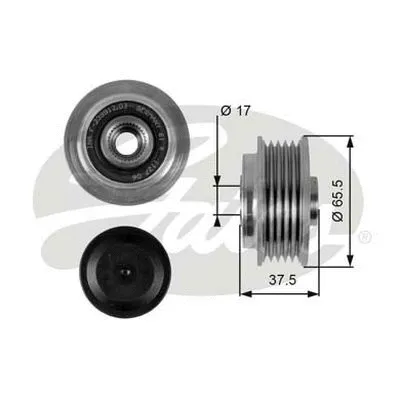Alternator Freewheel Clutch (OAP7091)