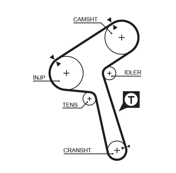 Timing Belt