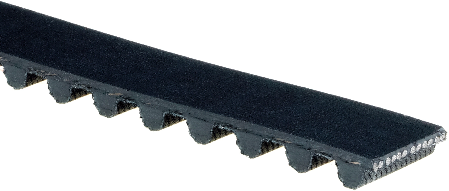 Timing Belt